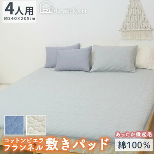 [11/20 20`CP50OFF]~pbh 4lp 240×205 t H ~ k RbgrG N 100% h n ۃJ[ Rbg rGNуtl HarvestRoom ~pbg xbhJo[ xbhp