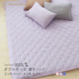 [10/30 0`CPőSi50OFF]_uK[[ ~pbh 3lp 4lp 5lp t@~[TCY LOTCY K[[ V[c ~zcJo[ Rbg 100% 􂦂 @ xbh k n Vv