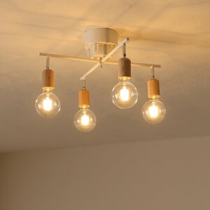 �y5��OFF���|�C���g3�{�I�z�V�[�����O���C�g 4�� �V��Ɩ� �p�x���߉\ �ԐڏƖ� E26���� �V�R�� �����R���t�� �������FLED�d�� ������� �k�� 6�� 8�� 10�� ���� ���ʏ� �V�[�����O�X�|�b�g��