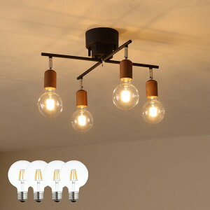 V[OCg 4 VƖ px߉\ ԐڏƖ E26 VR Rt FLEDd  k 6 8 10  ʏ V[OX|bgCg rO _CjO 