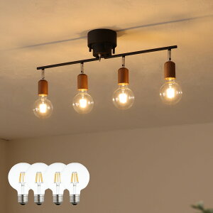 V[OCg 4 VƖ px߉\ ԐڏƖ E26 VR Rt FLEDd  k 6 8 10  ʏ V[OX|bgCg rO _CjO 