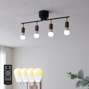 V[OCg 4 VƖ px߉\ ԐڏƖ E26 VR Rt FLEDd  k 6 8 10  ʏ V[OX|bgCg rO _CjO 