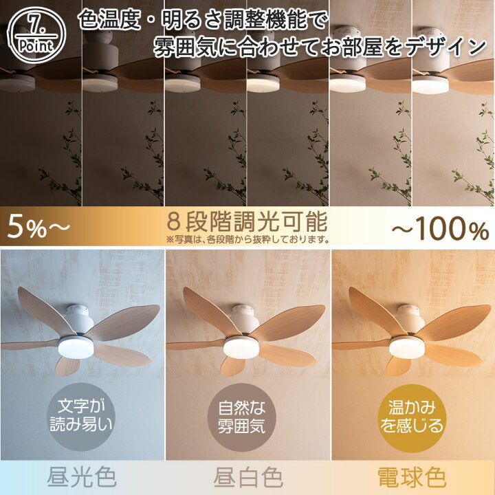 楽天市場】【5％OFFクーポン&抽選ポイントバック企画】シーリング 