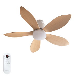 �y5��OFF���|�C���g3�{�I�z�V�[�����O�t�@�����C�g �����R���t�� �V�� �V�[�����O���C�g �V�[�����O�t�@�� �t�@�� DC���[�^�[ LED�V�[�����O���C�g ���^ �t�@���t�� ���C�g �Ɩ� �Ɩ���� �V