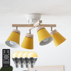 V[OCg 4 VƖ px߉\ E26 ԐڏƖ VR Rt FLEDd  k 6 8 10 12  ʏ V[OX|bgCg rO _Cj