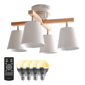 V[OCg 4 Rt X|bgCg   Ɩ ledƖ VƖ LEDΉ  F LEDdw px߉ ȒPt NX^Cv VR k C JtF