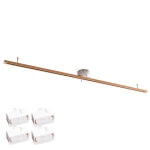 _Ng[ CeBO[ 1.5m ͈146cm 1lłƂȒP CeBOo[ X|bgCg[ [Ɩ CeBO_Ng IV X^CbV _CjO 
