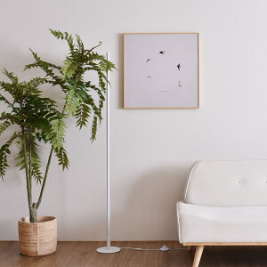 tACg tA^h Rt X^hCg LED ԐڏƖ  tAv F tbgXCb` _ Vv tA?X^h 148cm LEDCg ȃGl ȒP