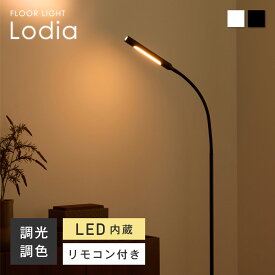 【新商品限定☆P5倍】フロアライト リモコン付き 調光調色 LED内蔵 フロアスタンド スタンドライト ランプ 間接照明 ルームライト 北欧 モダン おしゃれ スタイリッシュ デザイン性 長寿命 省エネ ダイニング リビング 寝室 書斎 照明器具 インテリア 読書灯 ベッドサイド