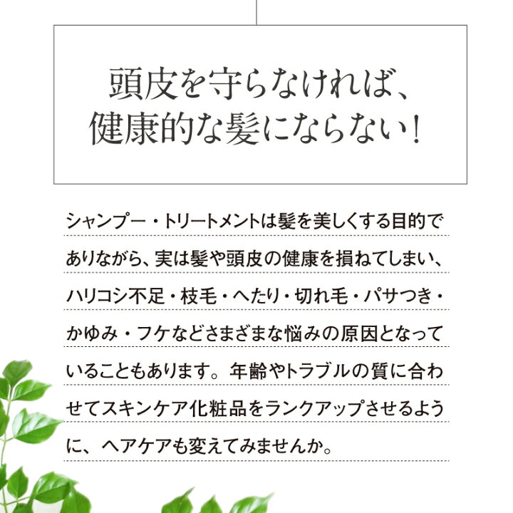 楽天市場】【最大20%OFFクーポン×ポイント5倍 マラソン限定 