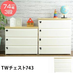 `FXg vX`bN k  3i tidy c[g`FXg 3i 74cm y܃bsOΉz `FXg vX`bN 3i k   ߗގ[ q v`FXg o