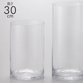 ガラス花瓶 EUROグラス 直径19×高さ30cm クリアー _PP02 フラワーベース 大きな 北欧 ヨーロッパ シンプル 円柱 花器 透明 大きい 大型 おしゃれ 【あす楽対応】