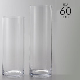 ガラス花瓶 EUROグラス 直径19×高さ60cm クリアー _PP02 フラワーベース 大きな 北欧 ヨーロッパ シンプル 円柱 花器 透明 大きい 大型 おしゃれ 【あす楽対応】