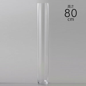 t[OX@EURO a15×80cm NA[ _PP02 t[x[X 傫 k [bp Vv Ԋ  傫 ^