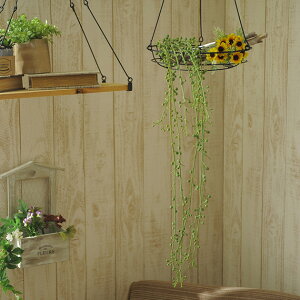 グリーンネックレス 室内の人気商品 通販 価格比較 価格 Com