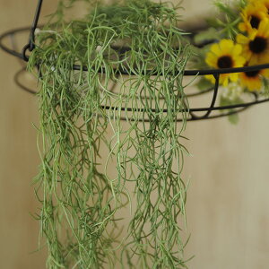 Ă̑ XpjbVXnK[  CeA  fBXvC tA   G A[gt[ t[AWg    q t ItBX  tF