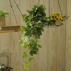 Ă̑ VTXACr[ubV  CeA  fBXvC tA   G A[gt[ t[AWg    q t ItBX  tFC