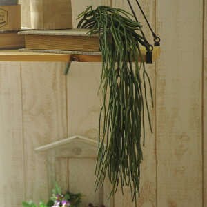 Ă̑ ~NubVnK[  CeA  fBXvC tA   G A[gt[ t[AWg    q t ItBX  tFC