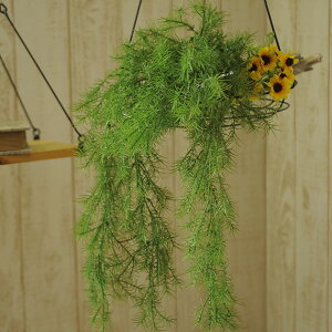 Ă̑ AXpnK[  CeA  fBXvC tA   G A[gt[ t[AWg    q t ItBX  tFCN l