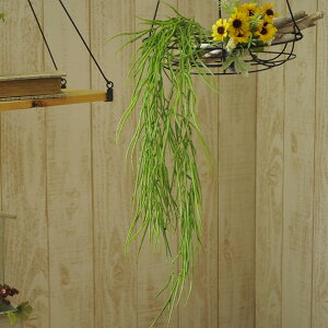 Ă̑ R[nK[  CeA  fBXvC tA   G A[gt[ t[AWg    q t ItBX  tFCN l