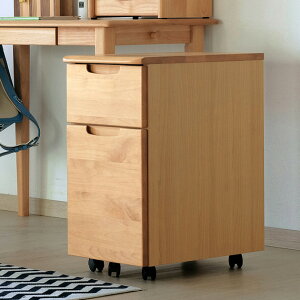 ISSEIKI ꐶI ERIS KIDS WAGON 34 i` fXNS wK tI[v[ LX^[t 2i VR A4TCYΉ [ Vv 