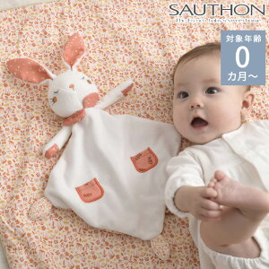 SAUTHON \g hD[hD[ GX xr[ Ԃ  킢 ʂ Mtg V G ₳ t@[XggC  yyΉz