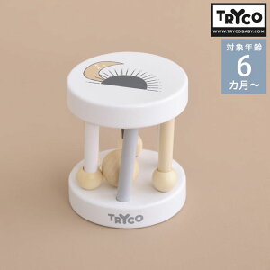 TRYCO gCR [[g KK ؂̂ xr[ 0  Ԃ 킢 mߋ ̏o邨 v[g