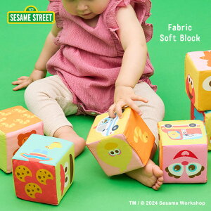 SESAME STREET ZT~Xg[g ӂӂzubN  ubN z Ԃ 9 킢 xr[ ϖ G킹 oYj