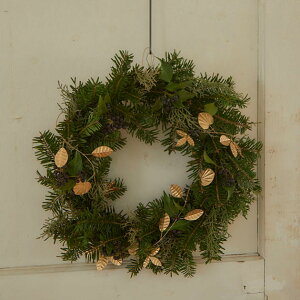 ybsOEbZ[WJ[hΉz Horn Please z[ v[Y uL C[K[h ~bNX[t ybsOΉz K[h C[ NX}X   Vv 