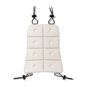 ICE CARRY (M) MǑ΍ObY ΍ObY q O w Z bN Ђ ACXL[ ICE RING ACXO