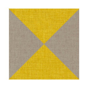  ݃LbY w qp zc ֎q CX LbY`FA  킢 a { tANbV Xc[ [e[up pT|[g