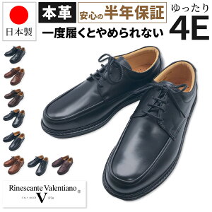 M̍YrWlXV[Y {v { Y _˂̌C L 4E v vC 傫TCY 29.0cm 30.0cm 23.0cm 23.5cm U[ dp ɂ F v[ [n[ iVeo`m Ri