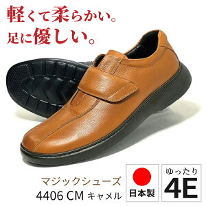 ɊyV[Y Xb| RtH[gV[Y JWAV[Y Xj[J[ rWlX EH[LO  L { {v y ̓ Mtg ʋC Ռz L 4E _炩  