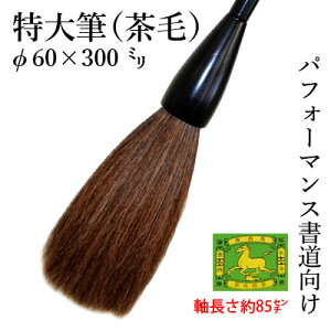 M  I wMiсj60×300mmx pi ѕM K M M 厚p   ptH[}X  ㋉ p