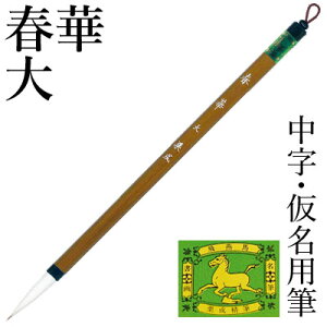 M  I wt x pi ѕM M 6 p p K Տ S 