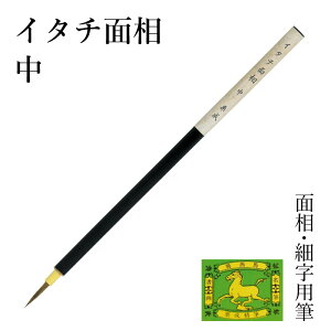 M I wC^`ʑ x GM M G G莆p S 