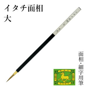 M I wC^`ʑ x GM M G G莆p S 