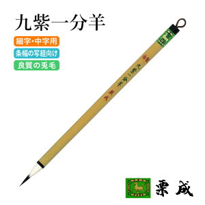 M  I w ㎇ꕪrx pi ѕM ׎p ʌop M M 7  莆 K Տ 