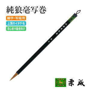 �M ���� �I�� �w���T�|�ʊ��x �����p�i �ѕM ���M �׎��p �ʌo�p �וM 8�� �C�^�` �K�� �Տ� ���� �莆 ������