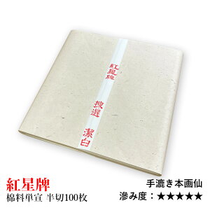  历 wgv ǗP ؁i35×138cmj100x K  { 鎆  p Zn Wn  i 荗 ㋉ pi p