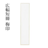 色紙 書道 習字 『広幅短冊 梅印 10枚』 短冊 小物 書道用品