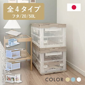 【レビュー特典あり】収納ボックス 折りたたみコンテナー 両扉 50L 即納 収納ケース 収納 折りたたみ コンテナ 押入れ収納 プラスチック 折りたたみ 折りコン 神ボックス 送料無料 コンテナボックス オリコン 岐阜プラスチック工業 リス CB-51NRL