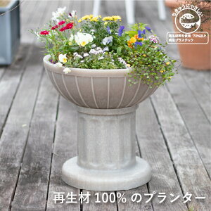 v^[ ^ 傫  O  [bp AeB[N fUC IV K[fjO  t[K[f  ĐvX`bN  vX`bN X