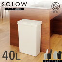 【メーカー公式店】【レビューでプレゼント有】 SOLOW ソロウ 袋の交換が楽なダストボックス 40L フクロラク 袋楽 ゴミ箱 45リットル 45L ゴミ袋対応 おしゃれ ごみ箱 ふた付き 通路 キッチン 分別 スリム ワイド シンプル 送料無料 抗菌 防汚 リス株式会社