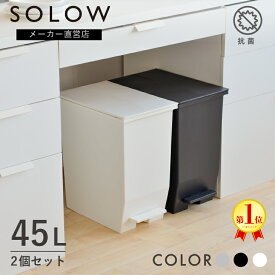 【メーカー公式店】【2個セット】【レビューでプレゼント有】SOLOW ソロウ ペダルオープンツイン 45L 2個セット ゴミ箱 カップボード 棚下 カウンター下 おしゃれ ごみ箱 分別 キッチン リビング コンパクト 抗菌 防汚 シンプル リス株式会社