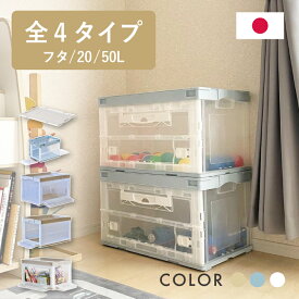 収納ボックス 折りたたみ コンテナ CB-51NRL（折りたたみコンテナー 両扉 50L）収納ケース プラスチック 折りたたみ 神ボックス 送料無料 コンテナボックス オリコン 岐阜プラスチック工業 リス