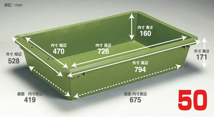 楽天市場 プラ舟 50l 庭 子供 砂場 ベランダ 外遊び Diy サンドボックス メダカ 水槽 ビオトープ 生体 金魚 タニシ ガーデニング 自宅 飼育 左官 セメント グリーン おもちゃ 業務用 プラスチック ペット 犬 プール 50リットル 金魚 亀 リス興業
