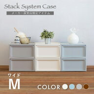 収納ボックス 収納ケース RISUスタックシステムケース ワイドM【2段セット】 カラーボックス チェスト お…