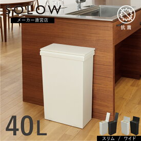 【メーカー公式店】【レビューでプレゼント有】 SOLOW ソロウ 袋の交換が楽なダストボックス 40L フクロラク 袋楽 ゴミ箱 45リットル ゴミ袋対応 ごみ箱 ふた付 キッチンカウンター キッチン 分別 スリム シンプル 送料無料 抗菌 防汚 リス株式会社