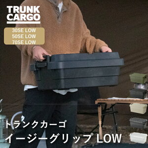 【新バックル】【レビューでプレゼント有り】RISU トランクカーゴ スタッキングタイプ LOW アウトドア 収納ボックス
